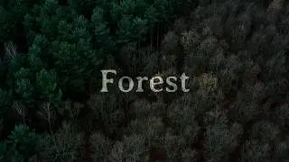Forest 🌳🌲&mdash; melancholic aesthetic | ambient drone film