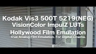 VisionColor ImpulZ LUTs | Analog Film Emulation | 「Kodak Vis3 500T 5219(NEG)」 | Day Light