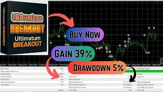Ultimatum Breakout EA MT4 High-Impact Forex Breakout Robot