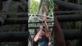 To survive, click follow me to watch the latest video, Minh Dao Vlog #shorts #short #Minh dao vlog