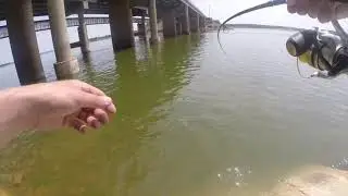 Keystone Lake OK fishing (What did I just catch!!??)