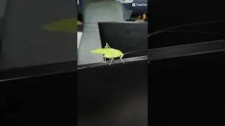 🦗Adult super green insect (Part 2)🦗 #shorts
