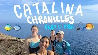FIRST MONTH STUDYING MARINE BIOLOGY ON CATALINA ISLAND | Catalina Chronicles Ep. 1