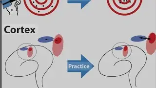 |Unlocking Brain Potential: The Power of Neuroplasticity||Rewiring Your Brain|