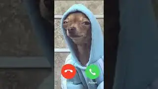 una chiamata da non perdere!!