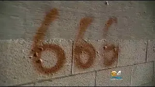 Synagogue Vandalism Brings Painful Memories To Congregation