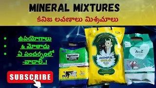 mineral mixture for veterinary animals uses and dosage telugu explaine