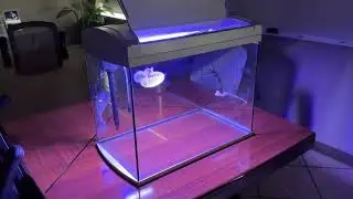 Unboxing Acuario BOYU ZJ601