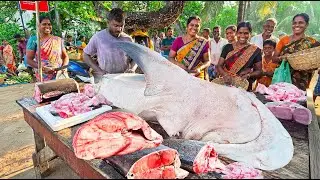 Best! Behind the Scenes Daily Life and Unseen Work of Sri Lankan Fishmonger Families