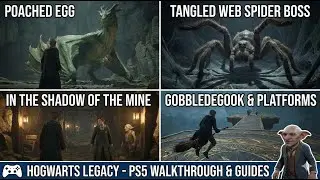 In the Shadow of the Mine & Tangled Web (Spider Boss) | Hogwarts Legacy PS5 Walkthrough
