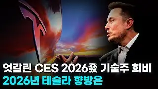 테슬라 흔들릴 필요 없습니다
