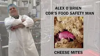 Cheese Mites