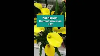 Applied for 186 visa application already can do second job?