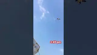 High Flyer Teddy Kabootar 3:45 pm pigeon landing #shorts #viral #shortvideo