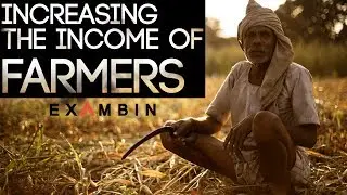 How to increase the income of farmers | 3 Step Process to Increasing the income of farmers