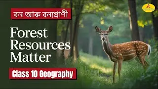 Forest and Wildlife Resources | বন আৰু বন্যপ্ৰাণী | Class10 Geography | Aspire