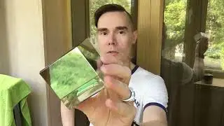 Zen for Men Shiseido. Обзор аромата.