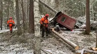 After the storm, Johannes, Sweden 2025 december #stormskador #scandinavia #sweden #lumberjack