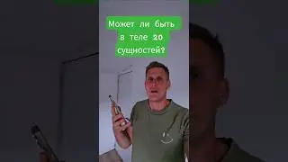 Может ли быть в теле 20 сущностей?