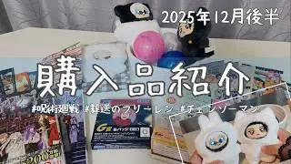 【呪術廻戦/フリーレン/チェンソーマン】オタクの12月後半購入品紹介✨