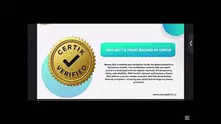 Understanding how money blitz business works