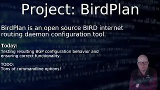 Python, BGP, OSPF and RIP (urg!) with BIRD. Unit testing BGP featureset!