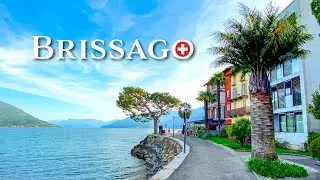 Расслабляющая вечерняя прогулка в Бриссаго 🇨🇭🌴 Средиземноморская атмосфера в Швейцарии!
