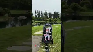 One of Alberta's Hidden Gems! Nikka Yuko Japanese Garden in Lethbridge, Alberta 🇨🇦 🥰 #shorts