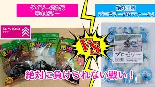 【ダイソーの激安昆虫ゼリー】VS【絶対王者プロゼリー(KBファーム)】カブトムシ・ヘラクレスは、どちらを食べるのか？