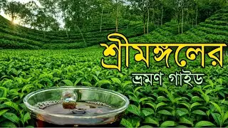 শ্রীমঙ্গল কোথায় যাবেন? | চা বাগানের শহর | Srimangal Tour Guide | Tea Garden & Nature 2026