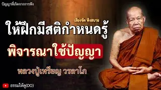 ให้ฝึกมีสติกำหนดรู้  และพิจารณาใช้ปัญญา | ฟังเทศน์หลวงปู่เหรียญ วรลาโภ | #หลวงปู่เหรียญ #ธรรมะสอนใจ