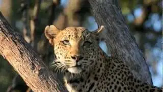 Sudafrica-Zimbabwe-Botswana-Namibia.mov
