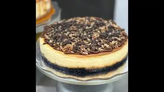 Cheesecake tortuga
