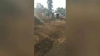 Dangerous fight between dog and cock (कुत्ते और मुर्गे की खतरनाक लडा़ई)