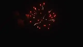 BEAUTIFUL RED CROSSETTE EFFECT FIREWORK SHELL