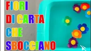 Scienze - (Esperimento) Fiori Di Carta Che Sbocciano (Scuola Primaria)