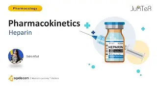 Heparin Mechanism of Action | Pharmacokinetics