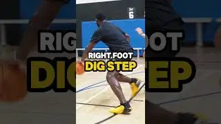 Вот как тренируется игрок D1!