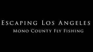 Escaping Los Angeles- Mono County Fly Fishing