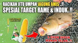 RACIKAN JITU UMPAN JAGUNG AMIS ANTI GAGAL !! HITUNGAN DETIK 2 EKOR INDUK BESAR MAKAN TELAK ❗❗