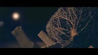 BlackMagic Cinema Camera 6K Full Frame - Helios 77M-4 - TREES FOR SALE