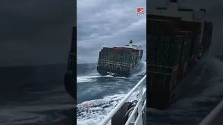 MSC ELESA 3 Shipwreck Mystery | #shorts #facts #youtubeshorts #viral #mystery