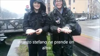 Winter  light game: bass scardola carpa trota