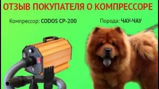 Отзыв - Ольга Николаевна - компрессор CODOS CP-200, порода - чау-чау