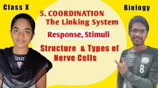 COORDINATION The Linking System By Sukumar Sir Student | Hazzu Tv