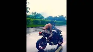 தெருநாய் செய்த சம்பவம் 😮 கடைசியில் என்ன நடந்தது 💥 street dog #shortsfeed #tamil #history