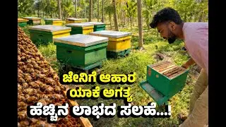 Honey Bee Keeping Tricks | ಜೇನಿಗೆ ಆಹಾರ ನೀಡಿ ಉತ್ತಮ ಆದಾಯ ಗಳಿಸುವ ವಿಧಾನ | Puneethan Prapancha
