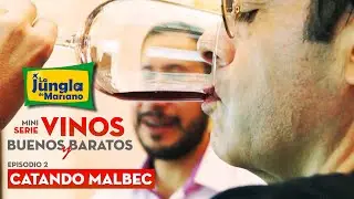 VInos Buenos y Baratos 🔴 Catando Malbec ▶️ Episodio 2