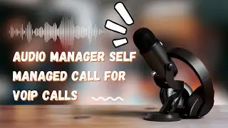 Android Framework - Audio manager self managed calls for VOIP calls