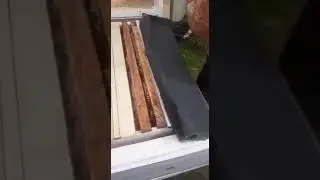 Эффективно ли ставить 230 рамку в 17-рамочном улье?